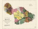 Carte Maui, îles hawaïennes [édition bilingue]
